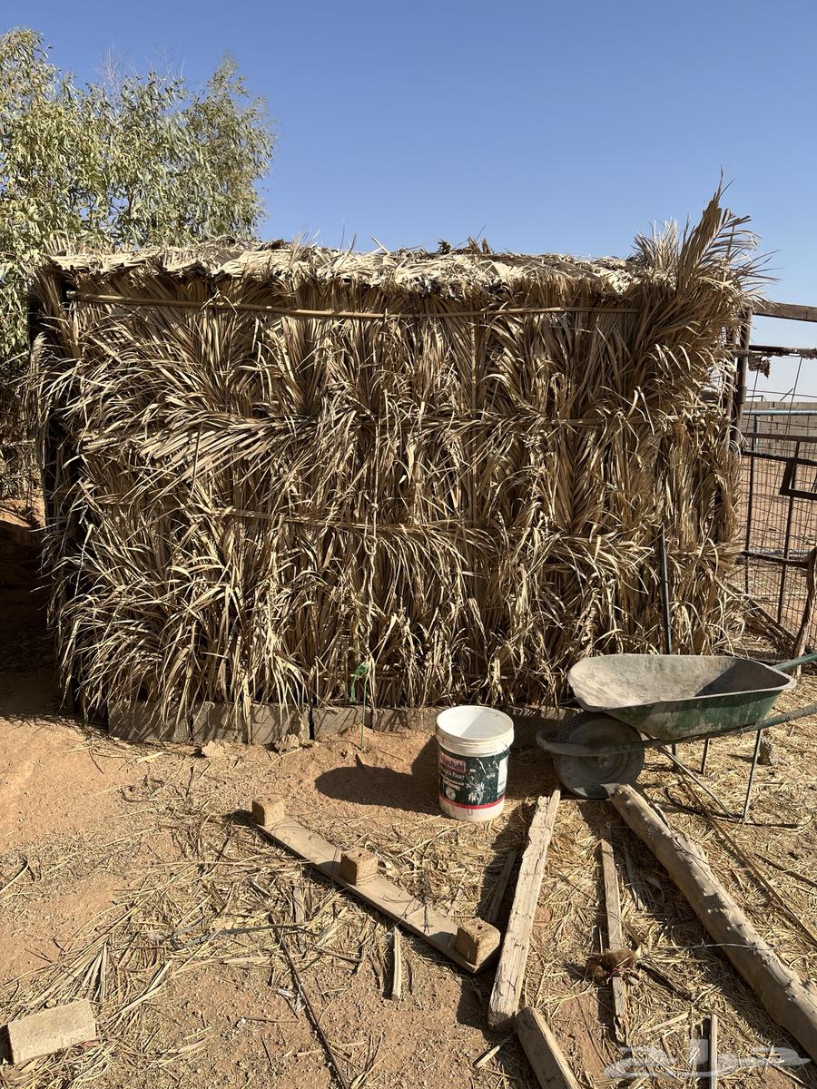 شبك غرفه 4 4 نضيف بس الباب مايل64520797724801111