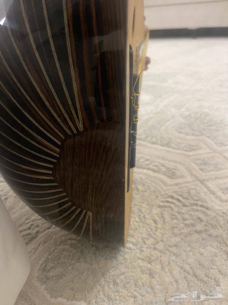 عود للبيع64526801245699111