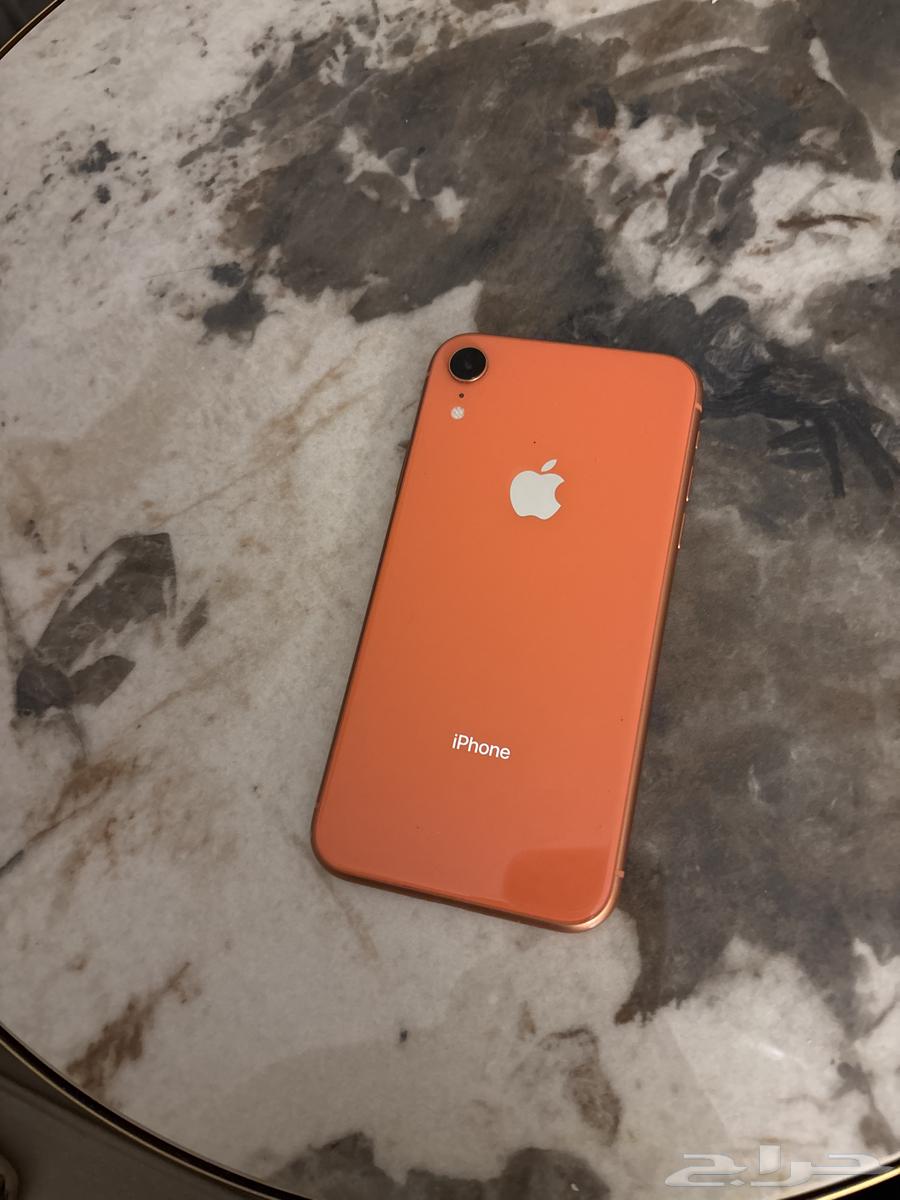 Used XR, clean, replaced front screen, price not exceeding 60064524587164673110