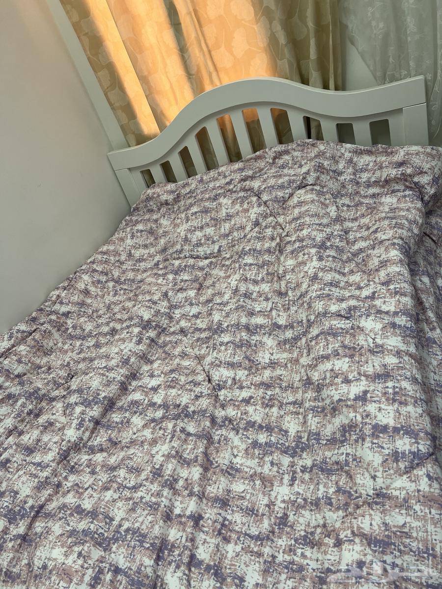 الخبر الشمالية264525635782403110