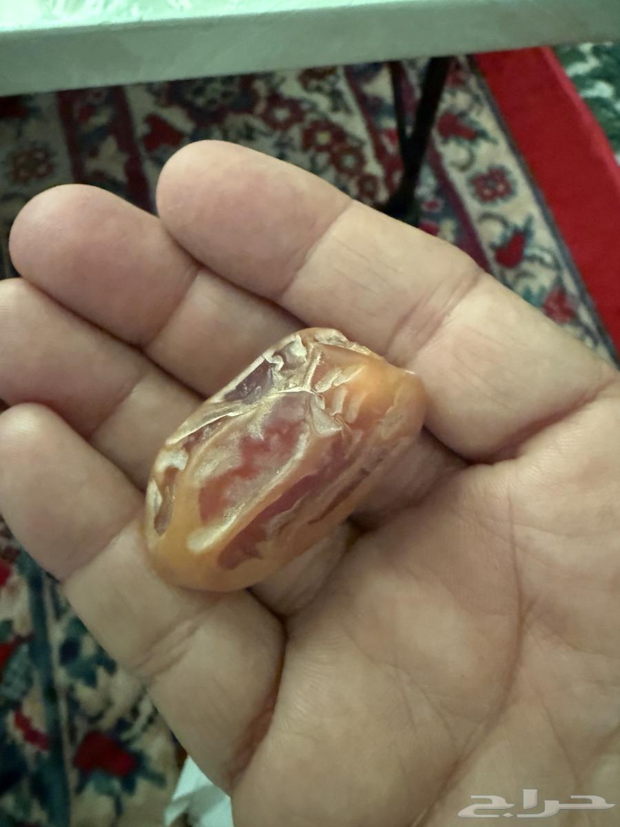 تمر اخلاص للبيع64522711494147113