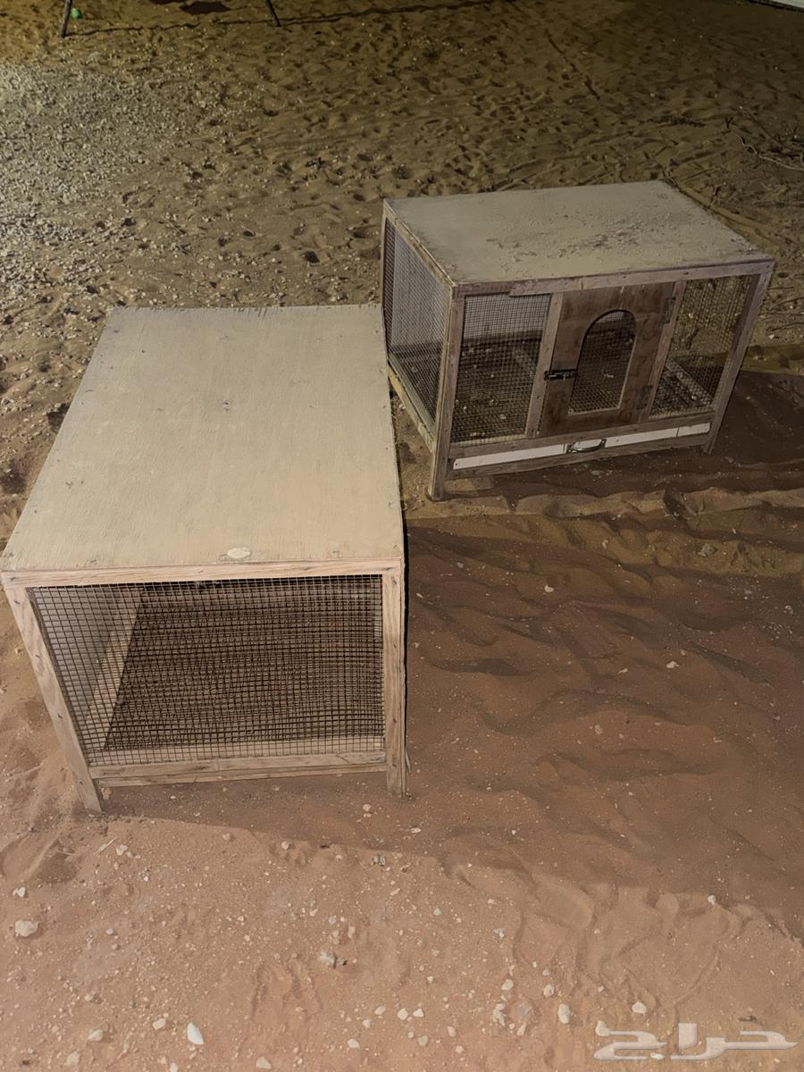 اقفاص طيور خشب للبيع64525995588227112