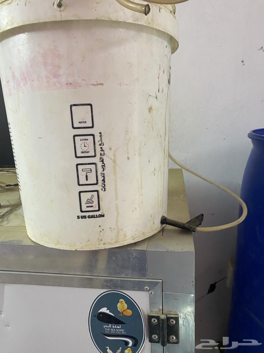 Clean incubator64520628430467111