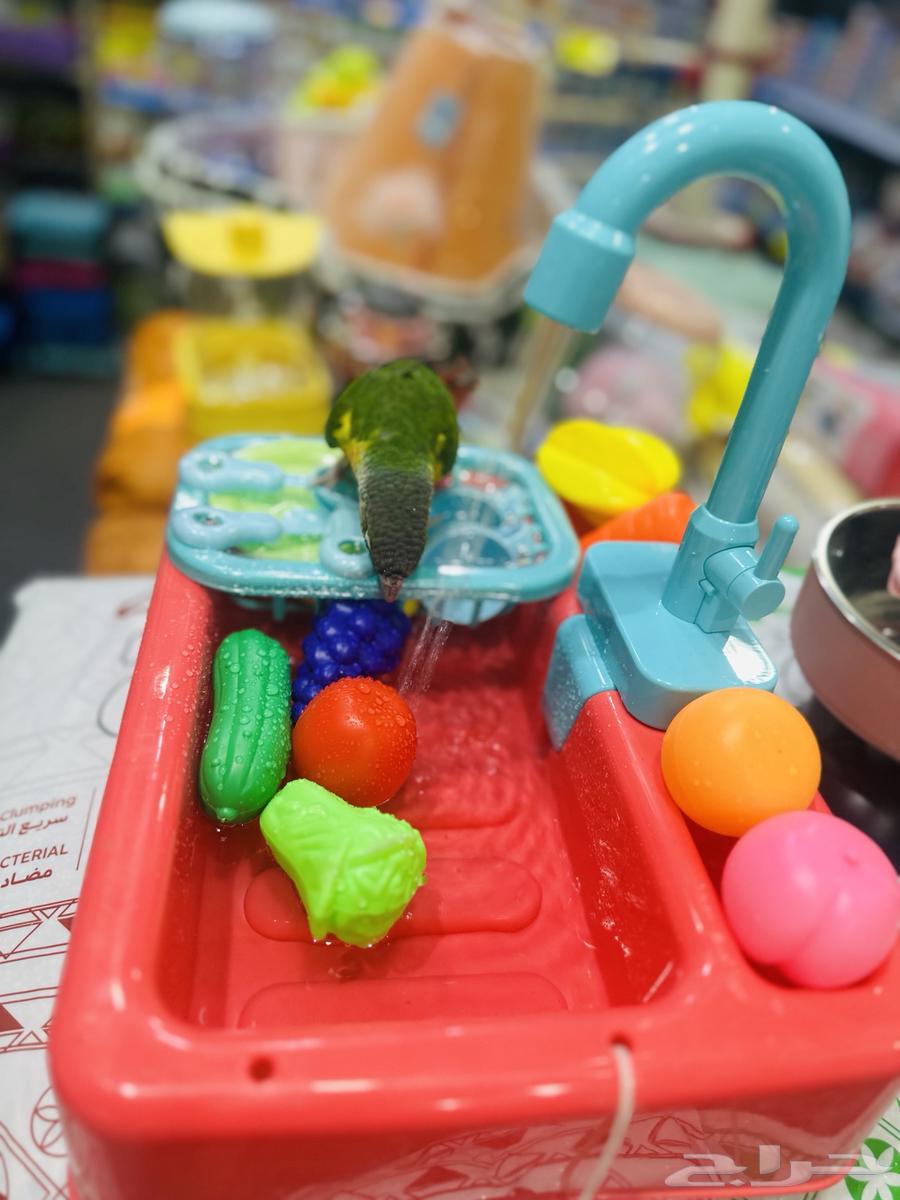 مروش طيور صغيره ومتوسطه64526843004033112