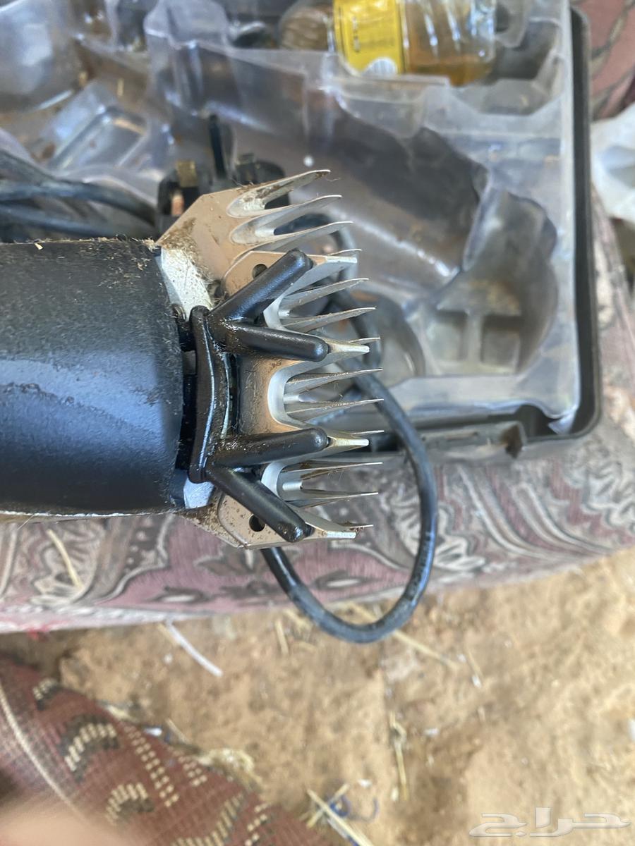 Swiss machine64520868515841111