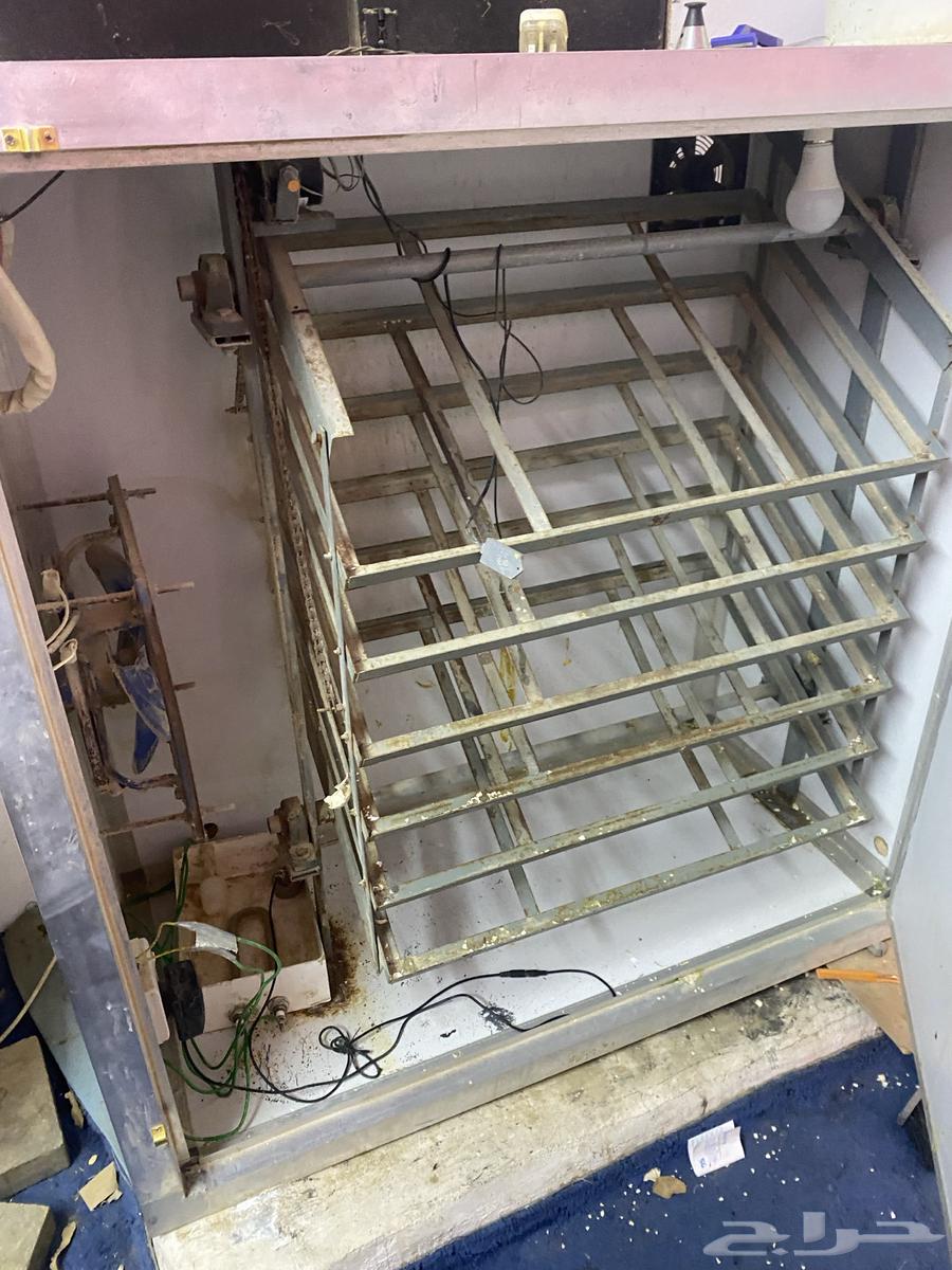 Clean incubator64520628430467110