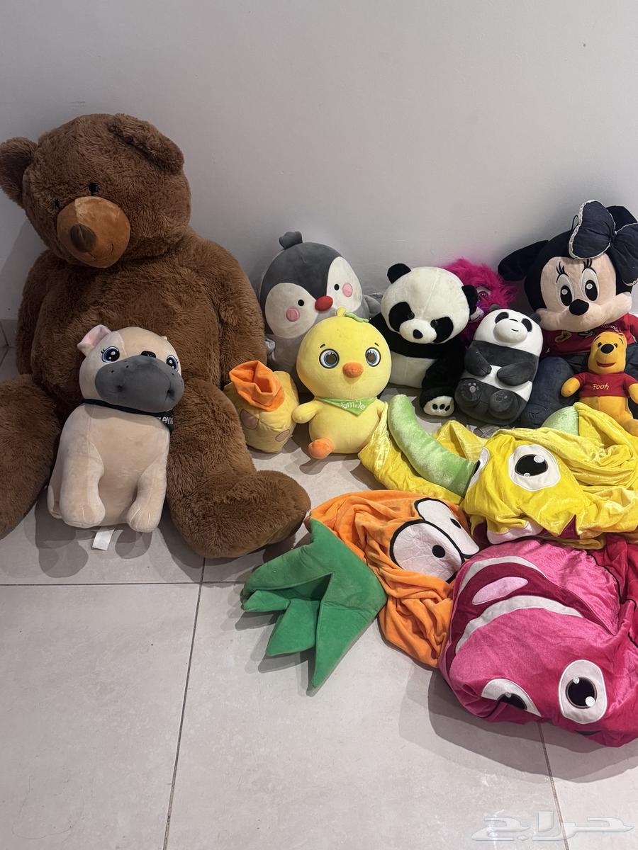 The same thing I showed you in the picture64520304099074110