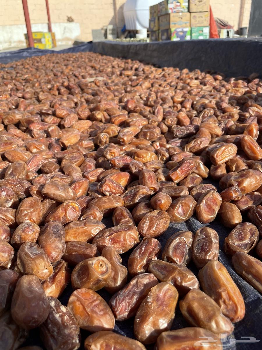 Safri Dates64520769586050112