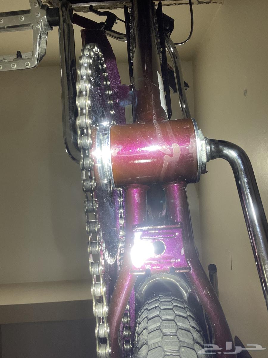 سيكل رامبو لون عنابي غامق64524863883523112