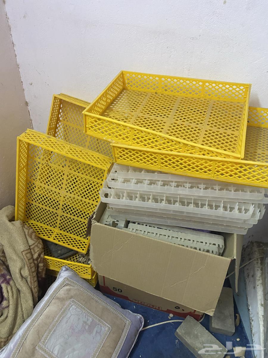 Clean incubator64520628430467112