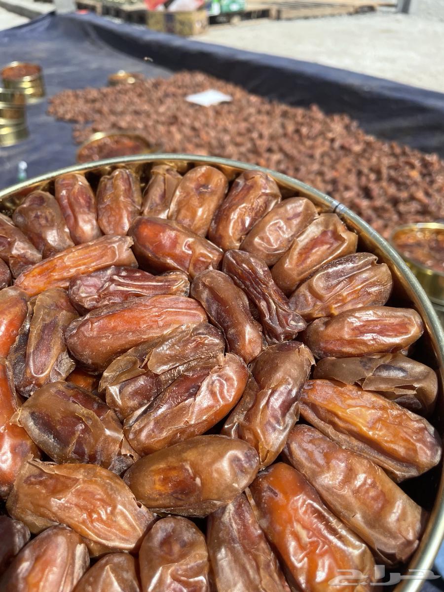 Safri Dates64520769586050111