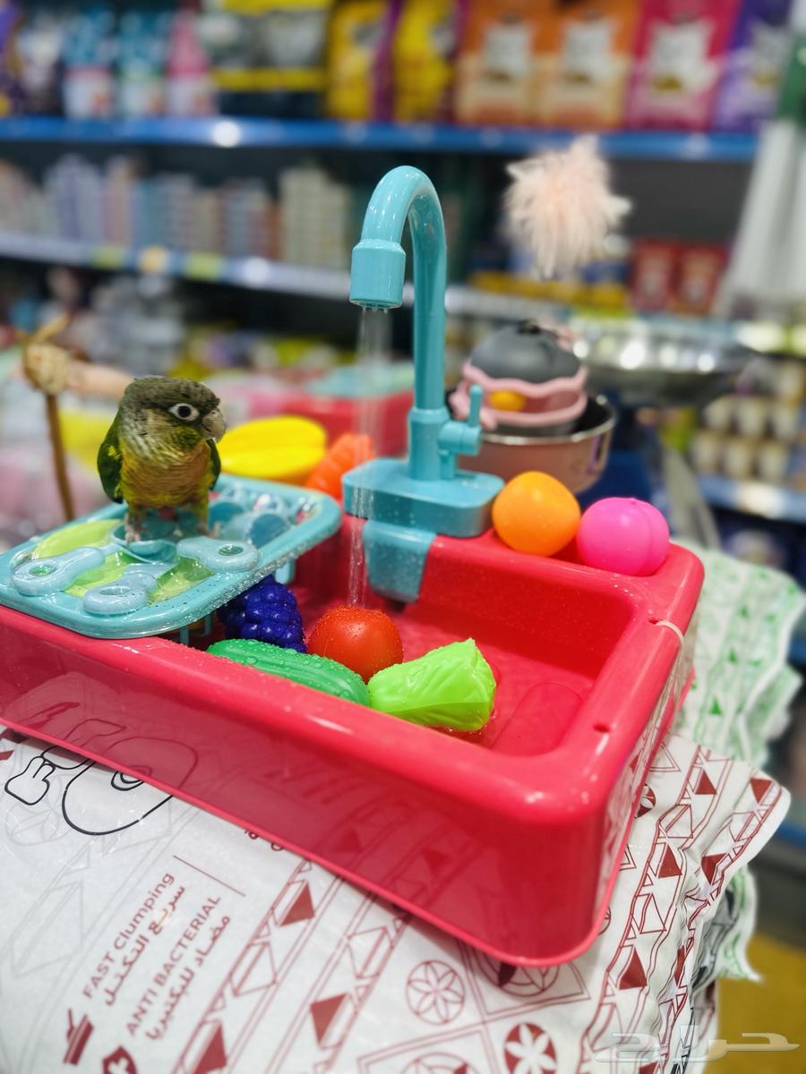 مروش طيور صغيره ومتوسطه64526843004033110