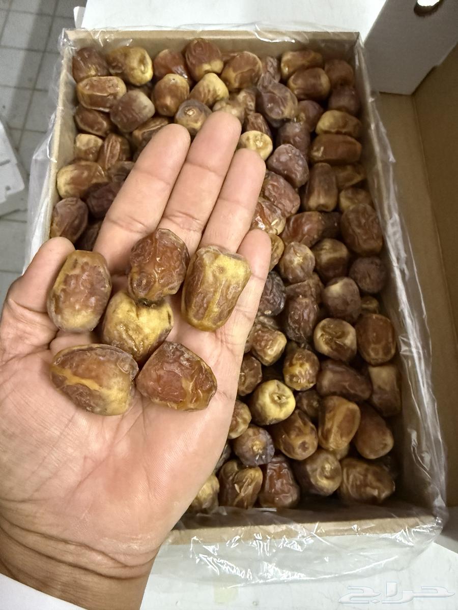 Galaxy Luxury Dates64520460031362112