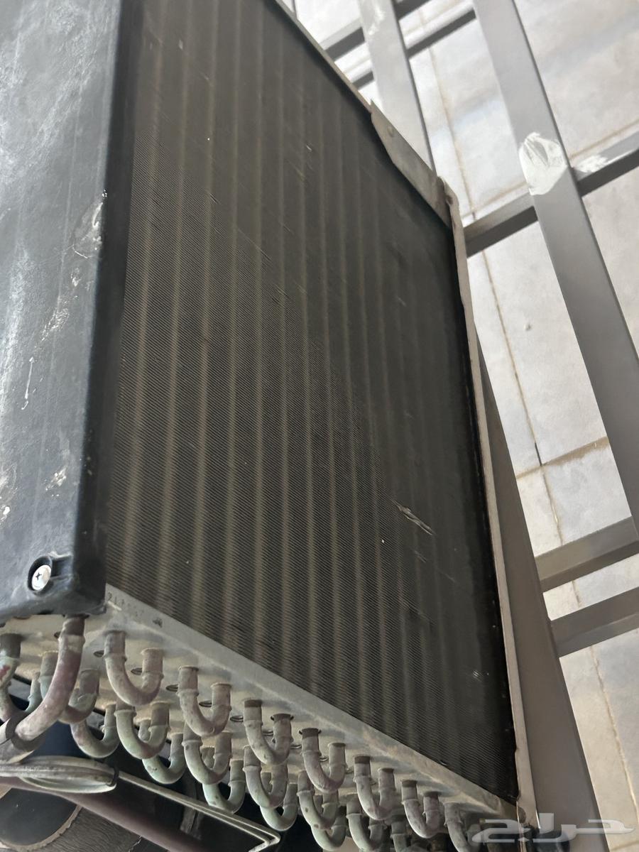 Taif64494099193474113