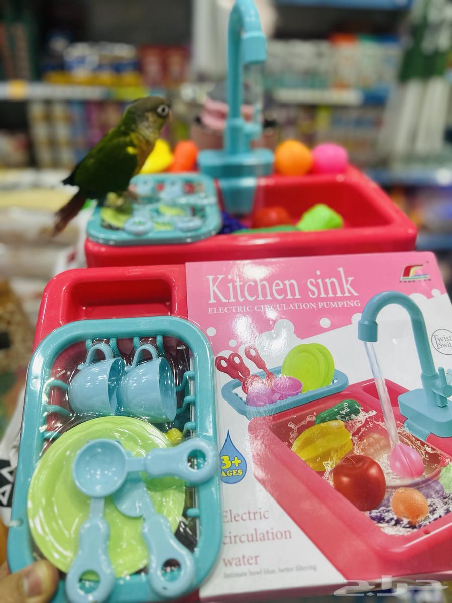 مروش طيور صغيره ومتوسطه64526843004033113