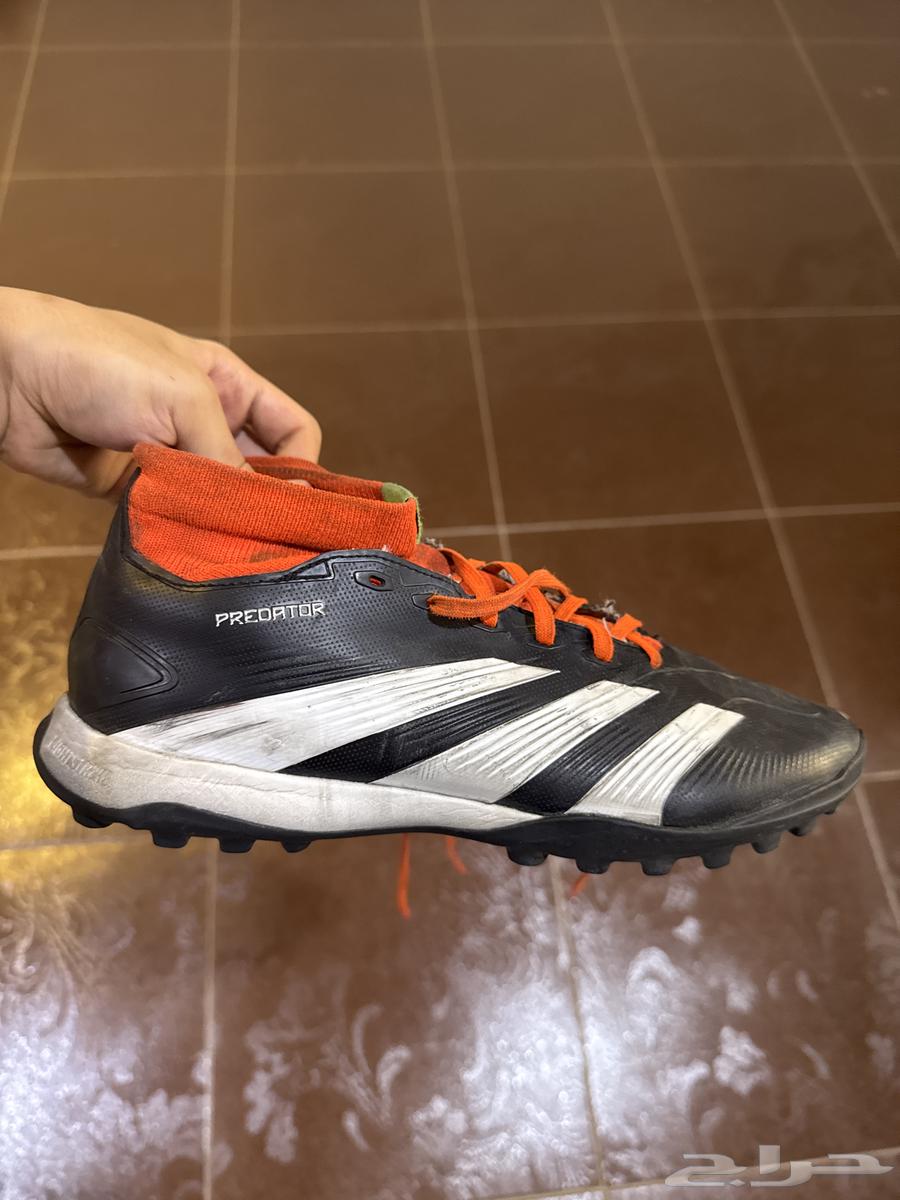 بوت اديداس predator اصلي مقاس 4264520614327682114