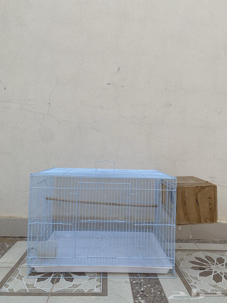 البيع64524573316227110