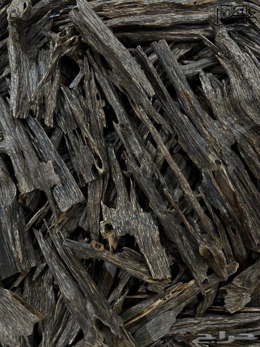 هندي زورا نقلاند سوبر مرتفع طبيعي64523696928002112