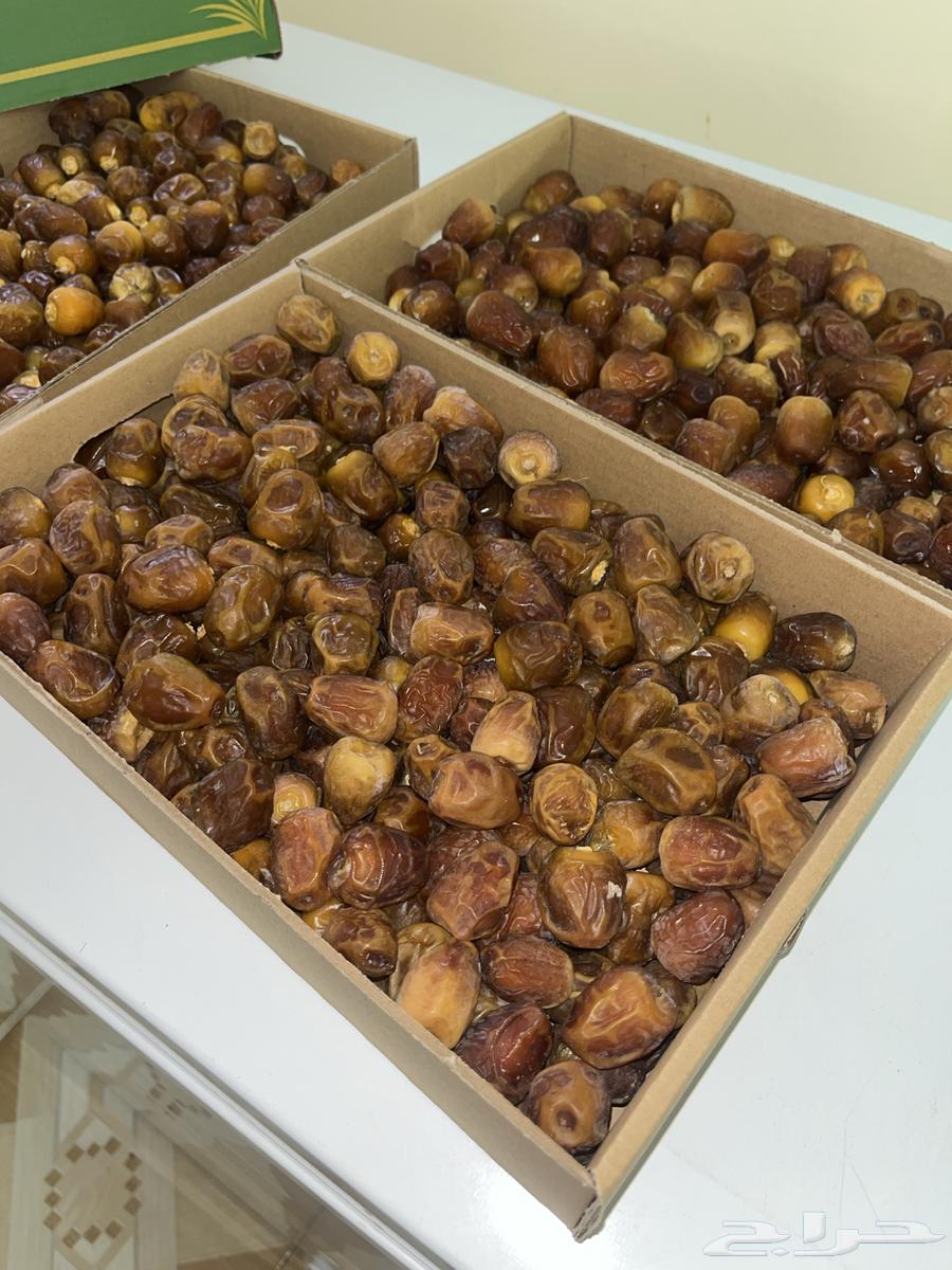 تمر عضوي حائل سكري حلوه برحي64524331068417110