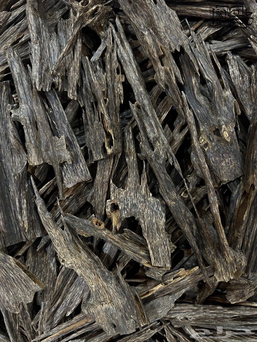 هندي زورا نقلاند سوبر مرتفع طبيعي64523696928002110