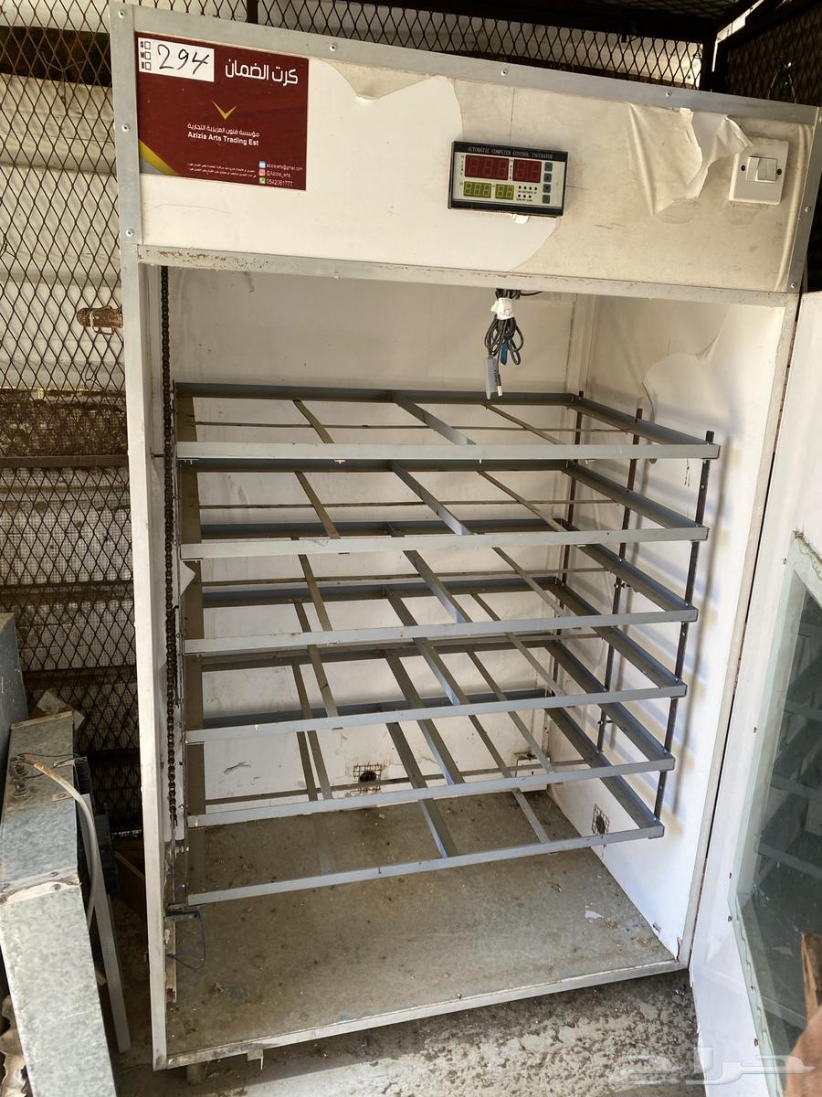 Incubator64521311828867111