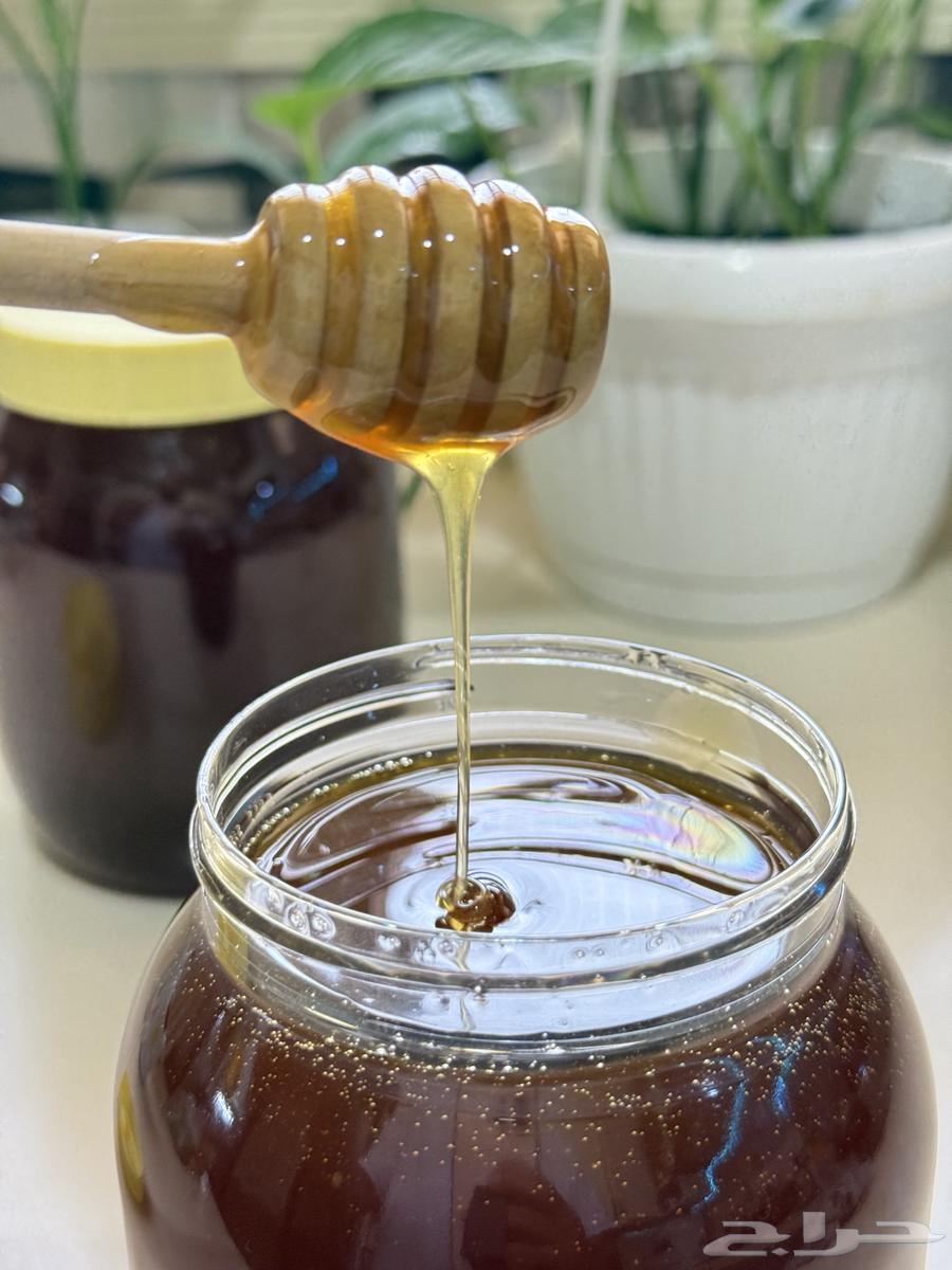 عسل سدر اصلي   100 وسعر خاص للجملة64524146884865110