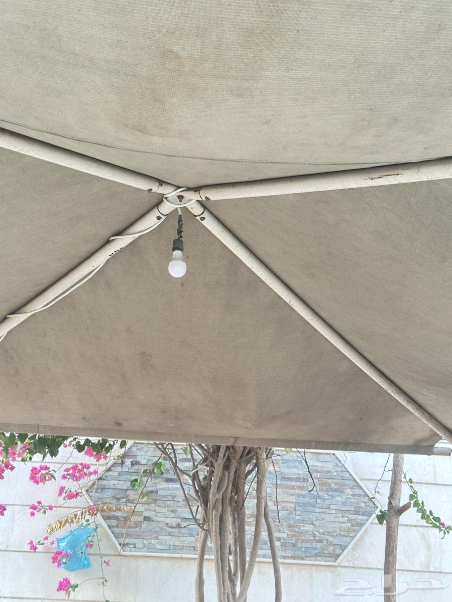 مظله للبيع64520218643713113