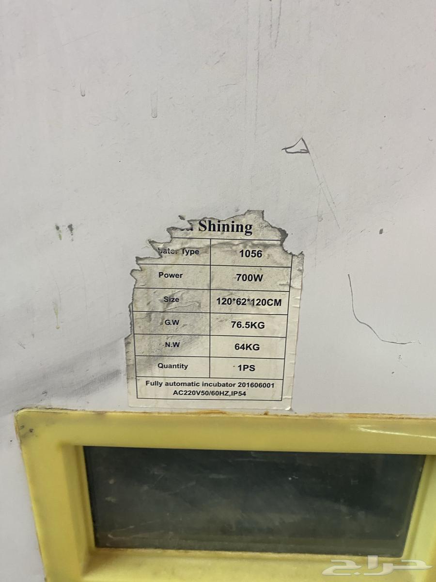 Clean incubator64520628430467114