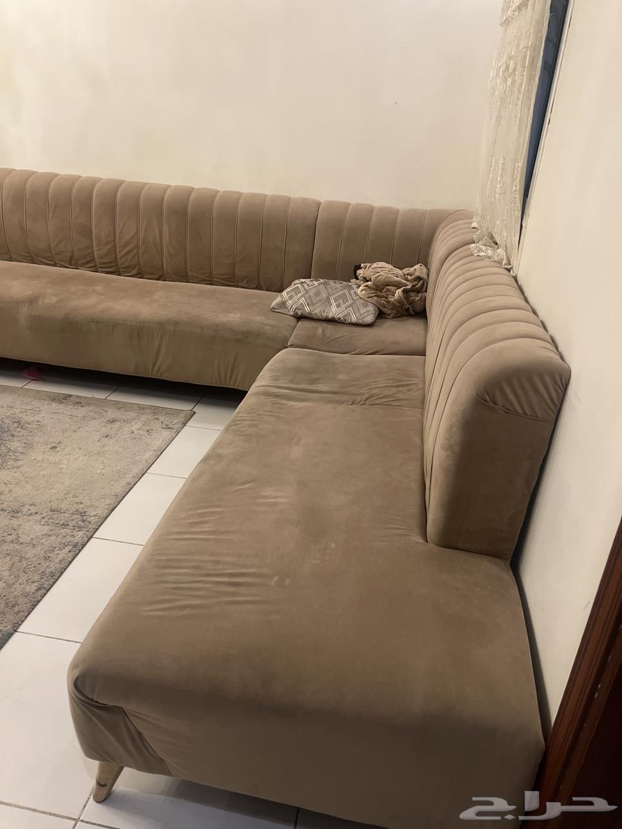 Sofa with no damage64523738882178112