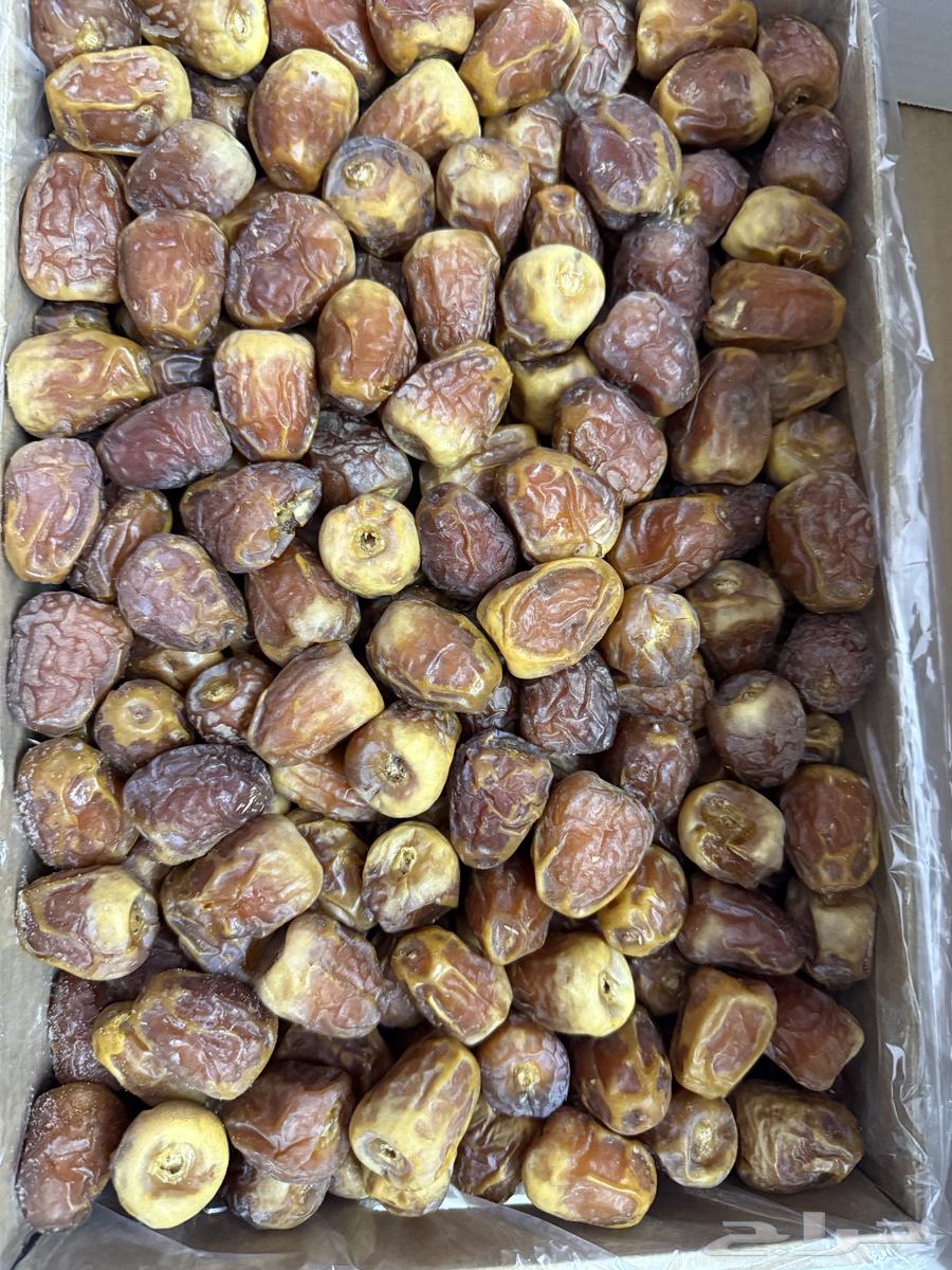 Galaxy Luxury Dates64520460031362111