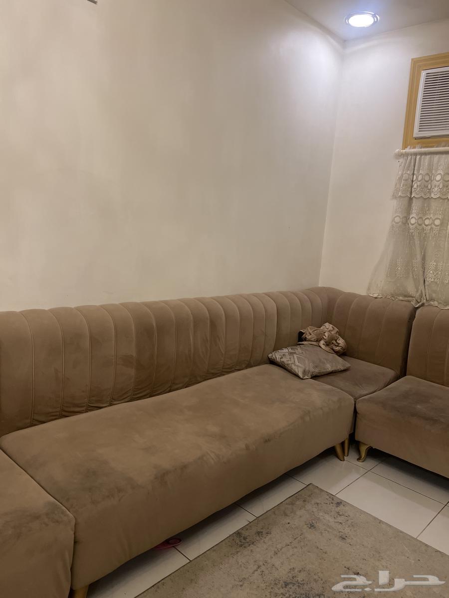 Sofa with no damage64523738882178111