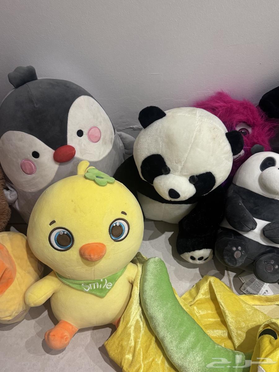 The same thing I showed you in the picture64520304099074111