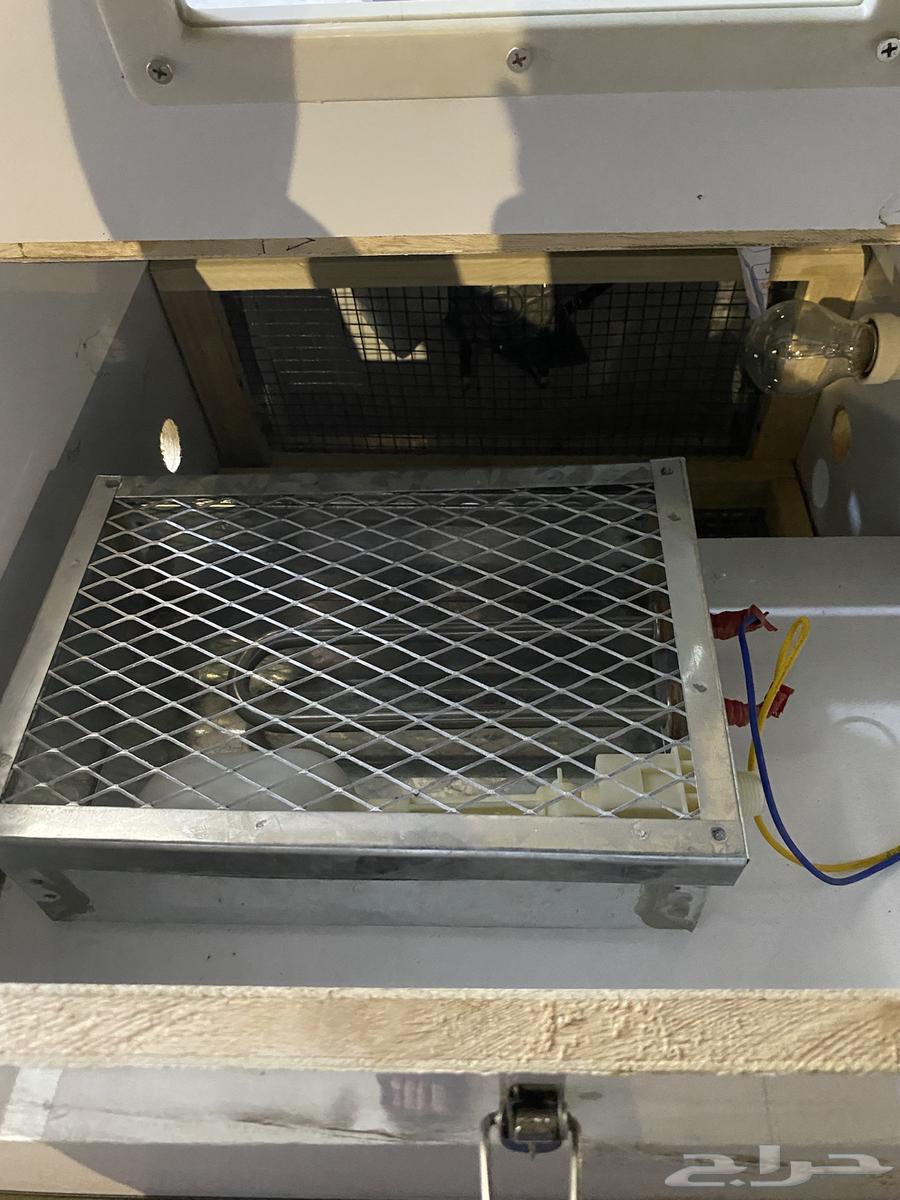 فقاصه يداويه جديده لم تستخدم64524781171971112