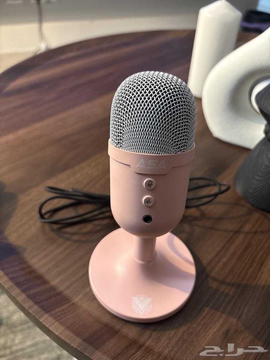 Mic with screen64521425966211110