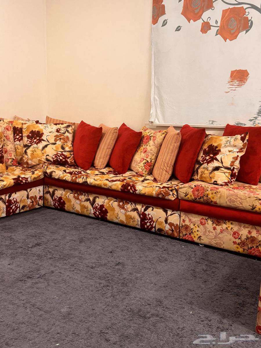 كنب كبير تقريبا 5 464524990471299110