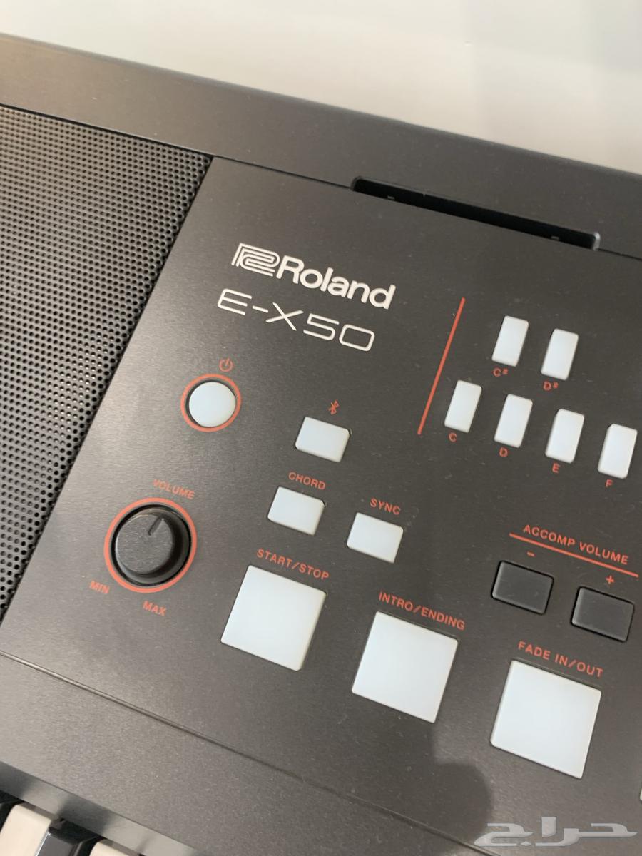 اورق شرقي وولاند E - X5064523977992707110