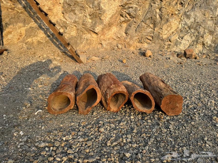 عيدان قفل نحل64524712254337112