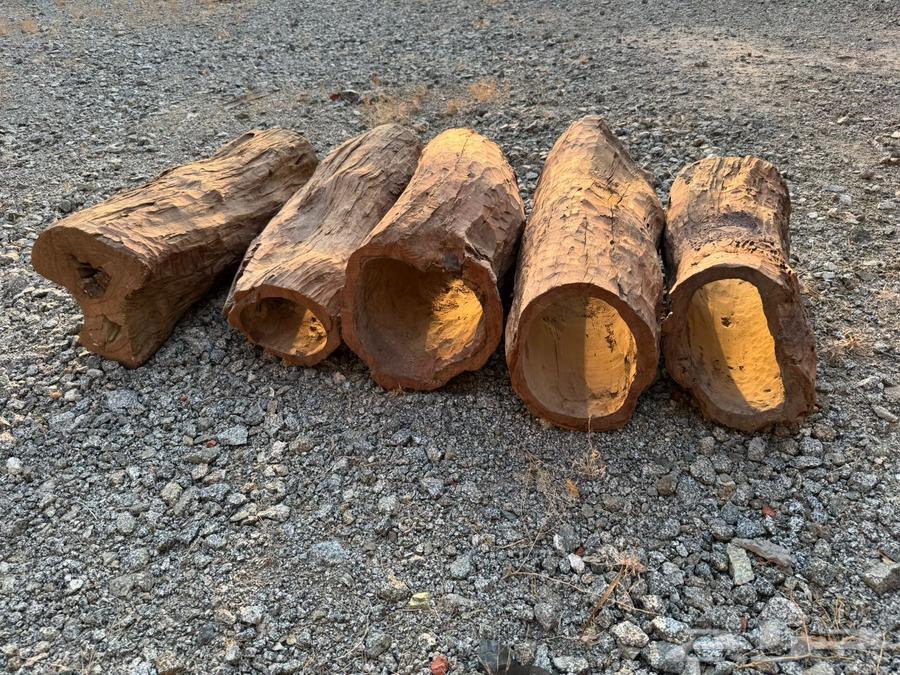 عيدان قفل نحل64524712254337110