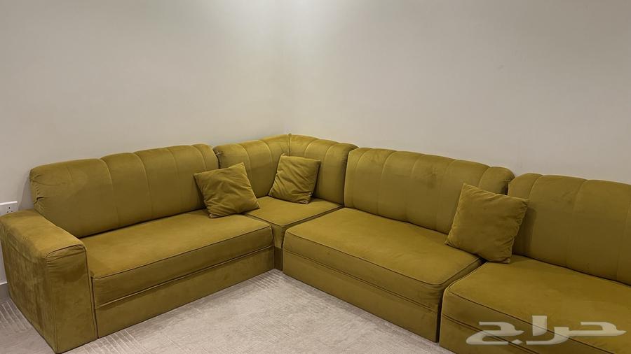 كنب للبيع64525455991810110