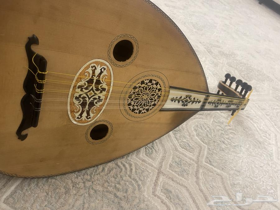 عود للبيع64526801245699112