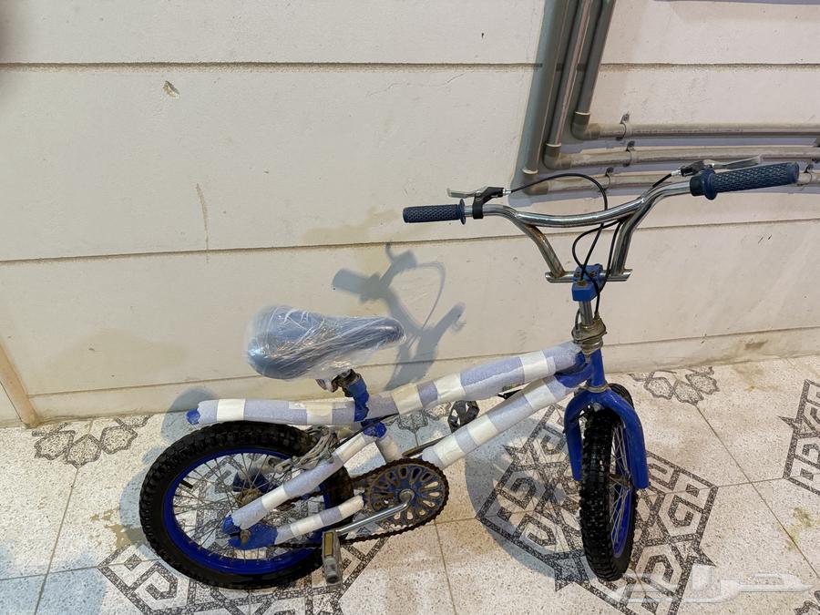 Cyclone Cobra64525261875074110