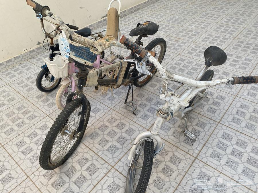 سياكل للبيع64524005922947113