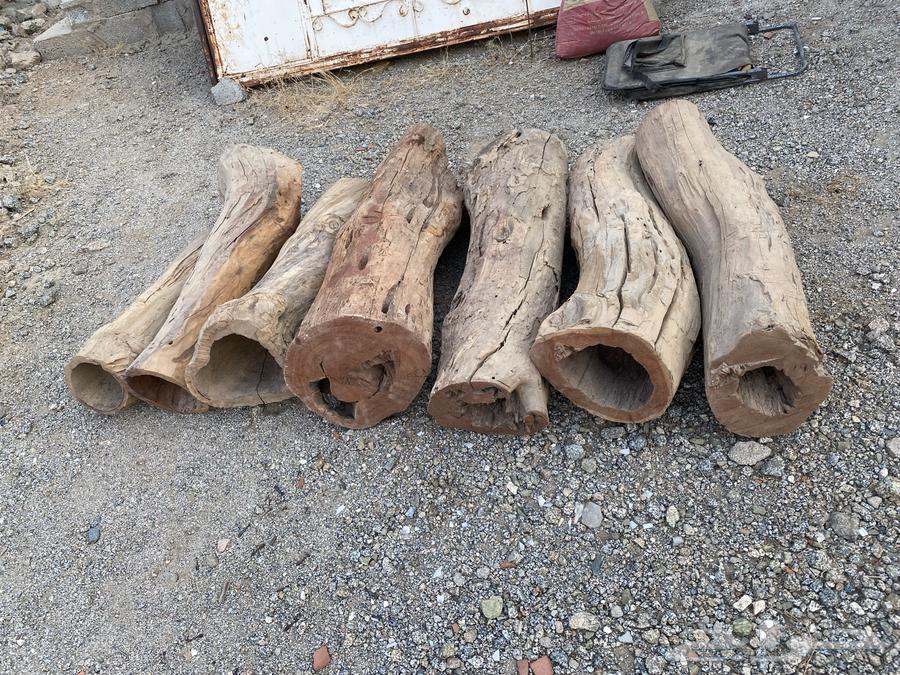 عيدان قفل نحل64524712254337114