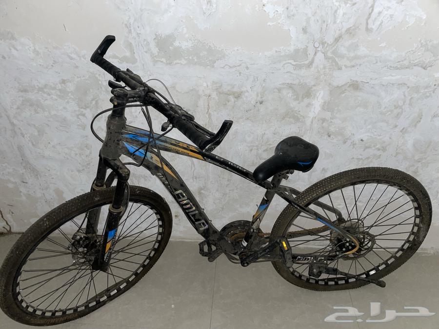 Sikl Ta3shiq64526551394433111