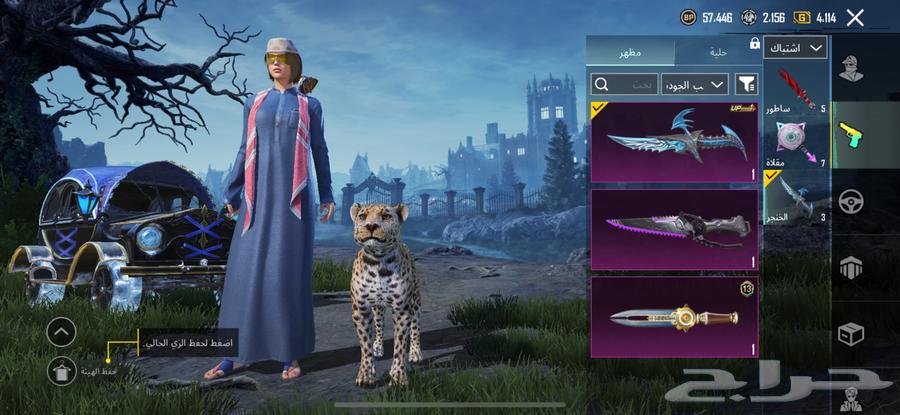 حساب ببجي للبيع لا يجي إلا الصامل64523104729091114