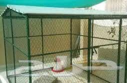 قفص شبك محكر للطيور و المواشي شبك بقلاوة جديد64519328327939110