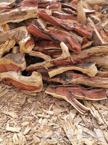 حطب سمر شلايخ ومباريم شرط64521639224961114