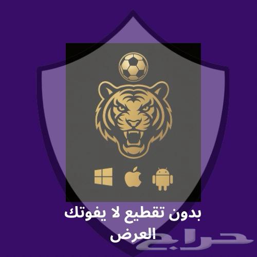 Tayger Gold Subscription Eight Channel and Leagues with Trial Available64423556171138110