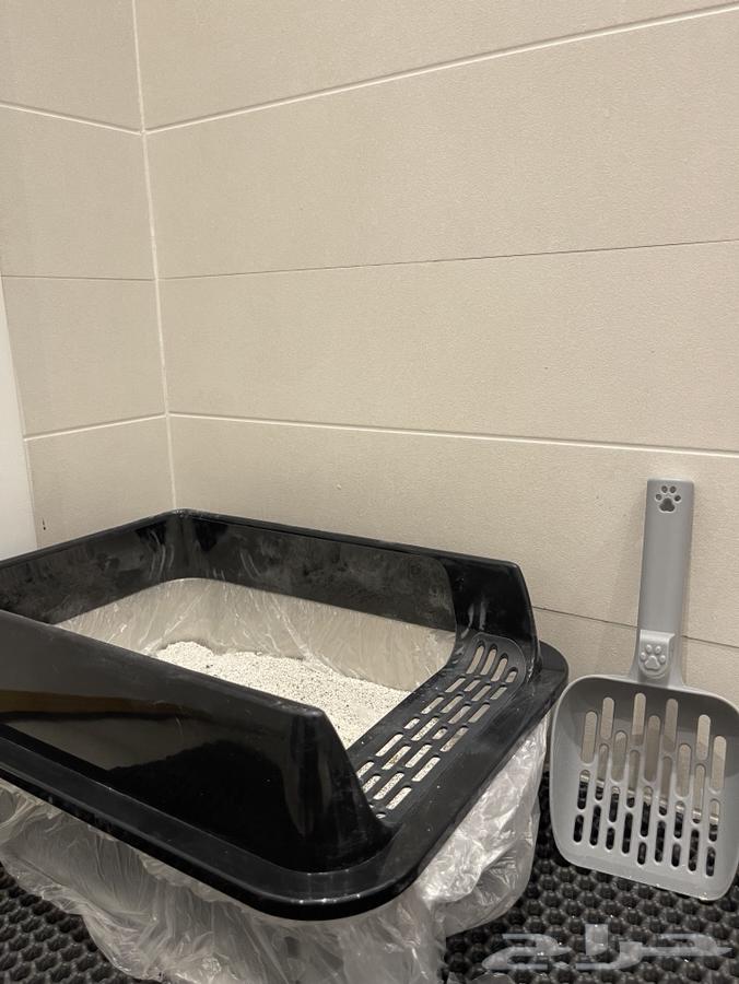 سكوتش للبيع مع ملحقاتها64526689893123112