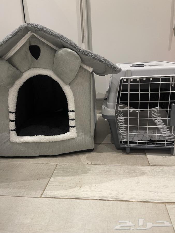 سكوتش للبيع مع ملحقاتها64526689893123114